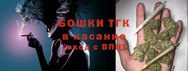 шишки Аркадак