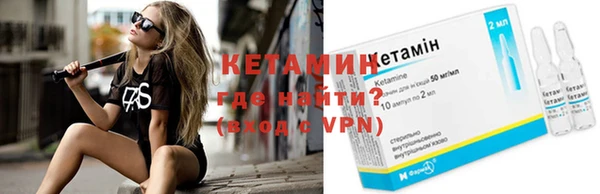шишки Аркадак