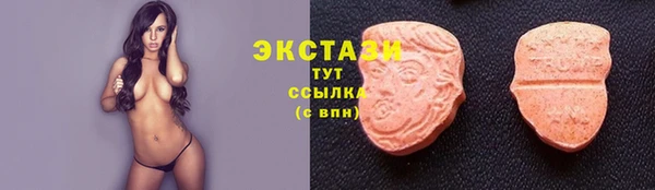 шишки Аркадак