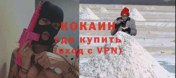 шишки Аркадак