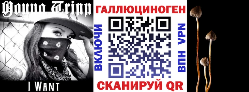 Псилоцибиновые грибы прущие грибы  Новокубанск 