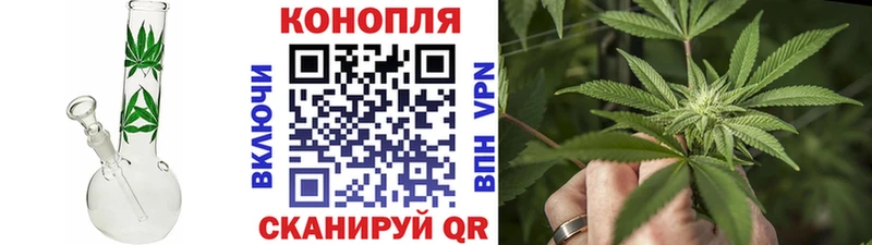mega онион Новокубанск МАРИХУАНА Ganja
